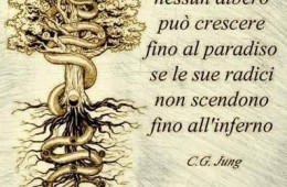 Le quattro fasi dell’apprendimento