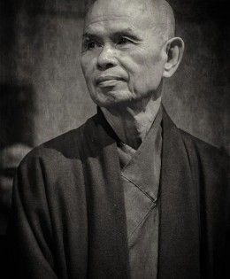 “Se ti senti agitato, non fare e non dire niente. Inspira ed espira finché non sei abbastanza calmo. La calma è il fondamento della comprensione e dell’intuizione. La calma è forza.” (Thich Nhat Hanh)