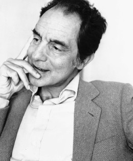 “Se alzi un muro pensa a cosa lasci fuori” (Italo Calvino)