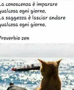 La conoscenza è imparare qualcosa ogni giorno. La saggezza è lasciare andare qualcosa ogni giorno.