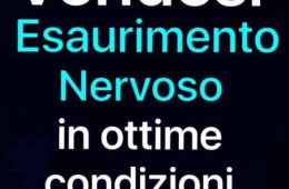 Vendesi esaurimento nervoso in ottime condizioni