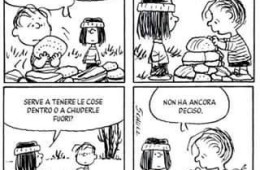 È proprio un bel muretto di pietre quello che stai costruendo Linus…