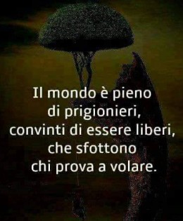 “Il mondo è pieno di prigionieri, convinti di essere liberi, che sfottono chi prova a volare”