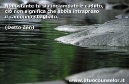 “Nonostante tu sia inciampato o caduto ciò non significa che hai intrapreso il cammino sbagliato” (Detto Zen)