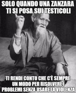 Solo quando una zanzara ti si posa sui testicoli ti rendi conto che c’è sempre un modo per risolvere i problemi senza usare la violenza