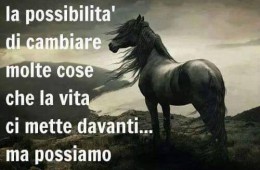 “Non abbiamo la possibilità di cambiare molte cose che la vita ci mette davanti, ma possiamo scegliere come affrontarle, quanto farci influenzare da esse… e quanto lasciare che ci trasformino dentro.” (Kate Kann)