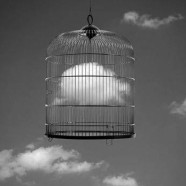 Nuvola in gabbia – Francesc Català Roca