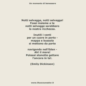 Notti selvagge notti selvagge (Emily Dickinson)