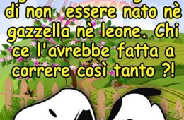 Ogni mattina ringrazio di non essere nato né gazzella né leone. Chi ce l’avrebbe fatta a correre così tanto?