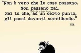 “Non è vero che le cose passano. Non passano mai. Sei tu che, ad un certo punto, gli passi davanti sorridendo.” (Cit.)