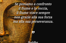 “Se poniamo a confronto il fiume e la roccia, il fiume vince sempre non grazie alla sua forza ma alla sua perseveranza.” (Buddha)