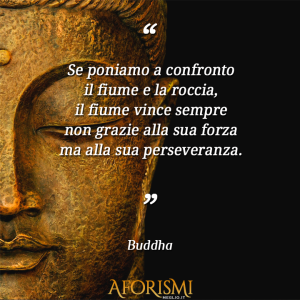 "Se poniamo a confronto il fiume e la roccia, il fiume vince sempre non grazie alla sua forza ma alla sua perseveranza." (Buddha)