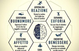 “Le 6 Droghe della felicità – E come procurarsele gratuitamente”