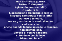 “Non fare della tua mente un campo di battaglia, non dichiarare guerra. Tutto ciò che provi (gioia, dolore, ira, odio) è parte di te. L’opposizione tra buono e cattivo è spesso raffigurata con la lotta tra luce e tenebre, ma se guardiamo in modo diverso, vedremo che, anche quando la luce splende le tenebre, non scompaiono. Invece di venire cacciate, si fondono con la luce. Diventano luce.” (Thich Hhat Hanh)