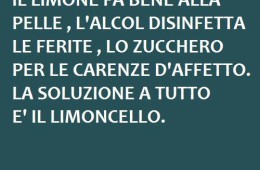 “Il limone fa bene alla pelle, l’alcol disinfetta le ferite, lo zucchero per le carenze d’affetto. La soluzione a tutto è il limoncello.”