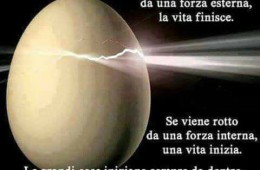 “Se un uovo viene rotto da una forza esterna, la vita finisce. Se viene rotto da una forza interna, una vita inizia. Le grandi cose iniziano sempre da dentro.”