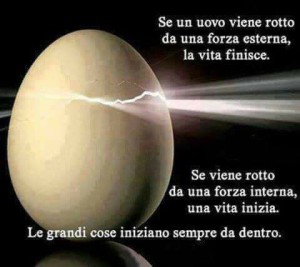 "Se un uovo viene rotto da una forza esterna, la vita finisce. Se viene rotto da una forza interna, una vita inizia. Le grandi cose iniziano sempre da dentro."