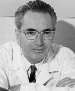 “Se non è in tuo potere cambiare una situazione che ti crea dolore, potrai sempre escogitare l’attitudine con la quale affrontare questa sofferenza.” (Viktor Frankl)