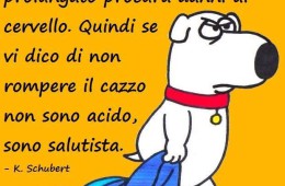 “Secondo i ricercatori lo stress prolungato procura danni al cervello. Quindi se vi dico di non rompere il cazzo non sono acido, sono salutista.” (K. Schubert)