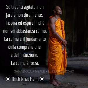 “Se ti senti agitato, non fare e non dire niente. Inspira ed espira finché non sei abbastanza calmo. La calma è il fondamento della comprensione e dell’intuizione. La calma è forza.” (Thich Nhat Hanh)