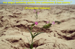 “Ci sono cose che catturano la tua vista, ma segui soltanto quelle che catturano il tuo cuore.” (Proverbio indiano)