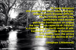 “Ci sono delusioni che pesano sul cuore come macigni, andare avanti diventa difficile. Ma tu ricorda sempre che, qualunque cosa accada potranno frantumare un sogno ma non la tua capacità di rialzarti e credere che tu meriti molto di più. Combatti e affronta la delusione con quella luce che arriva dritta dritta da dentro di te!” (Stephen Littleword)