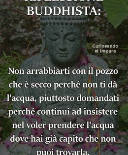 “Non arrabbiarti con il pozzo che è secco perché non ti da l’acqua, piuttosto domandati perché continui ad insistere nel voler prendere l’acqua dove hai già capito che non puoi trovarla.”