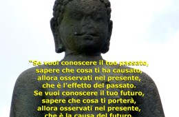 “Se vuoi conoscere il tuo passato, sapere che cosa ti ha causato, allora osservati nel presente, che è l’effetto del passato. Se vuoi conoscere il tuo futuro, sapere che cosa ti porterà, allora osservati nel presente, che è la causa del futuro.” (Detto Buddhista)