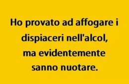 “Ho provato ad affogare i dispiaceri nell’alcol, ma evidentemente sanno nuotare.”