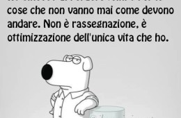 “Ho smesso di perdere tempo per le cose che non vanno mai come devono andare. Non è rassegnazione, è ottimizzazione dell’unica vita che ho.” (Il cane irriverente)