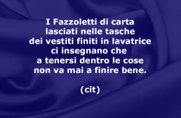 “I Fazzoletti di carta lasciati nelle tasche dei vestiti finiti in lavatrice ci insegnano che a tenersi dentro le cose non va mai a finire bene.” (cit)